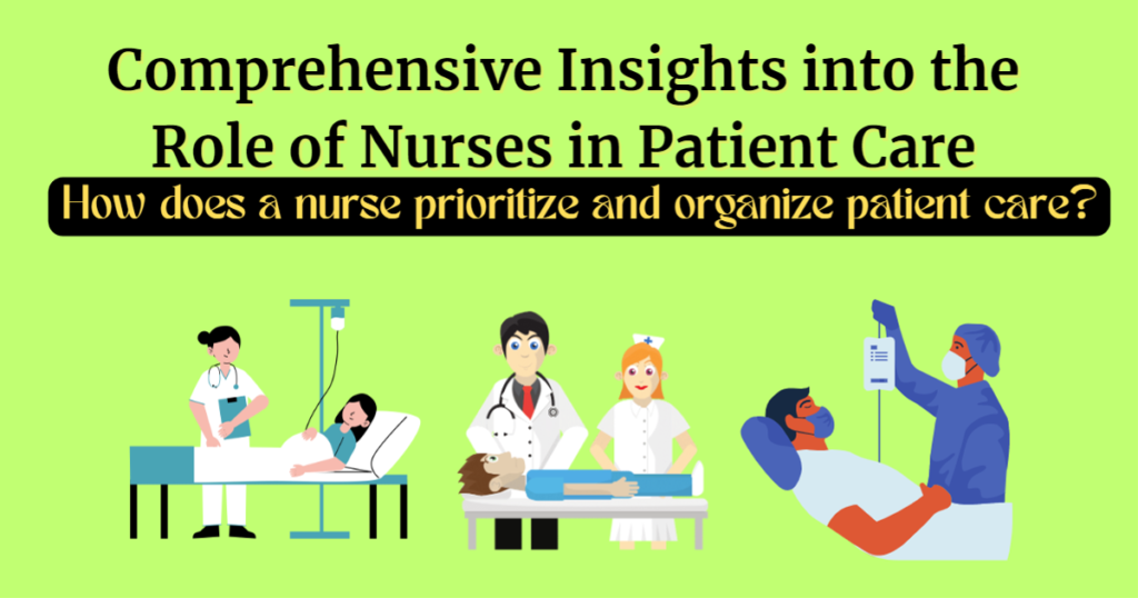 Comprehensive Insights into the Role of Nurses in Patient Care (Part 2)