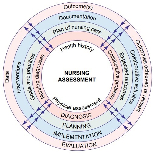 A Comprehensive Guide to Nursing Care: From Patient Documentation to Ethical Responsibilities (Part 3)