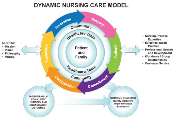 A Comprehensive Guide to Nursing Care: From Patient Documentation to Ethical Responsibilities (Part 3)