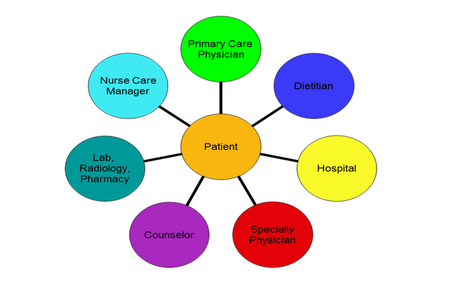 Comprehensive Insights into the Role of Nurses in Patient Care (Part 2)