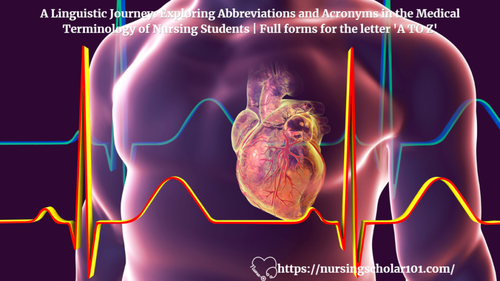 The Fascinating World of Human Physiology: Exploring the Intricacies of the Human Body (Part 2)