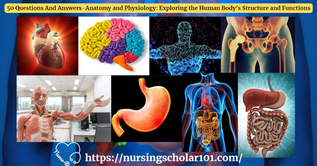 50 Questions And Answers-Anatomy and Physiology: Exploring the Human Body's Structure and Functions