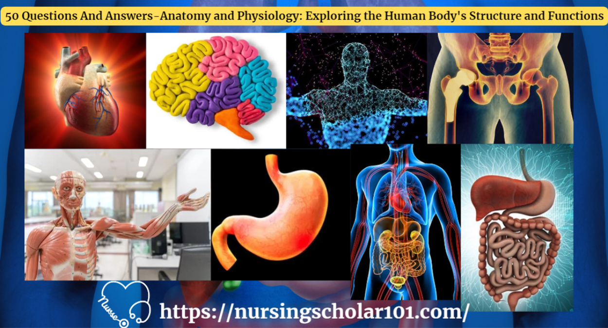 50 Questions And Answers-Anatomy and Physiology: Exploring the Human Body’s Structure and Functions
