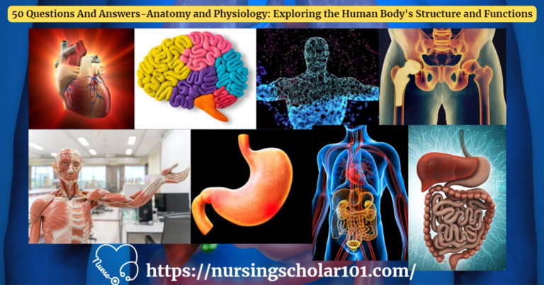 50 Questions And Answers-Anatomy And Physiology: Exploring The Human ...