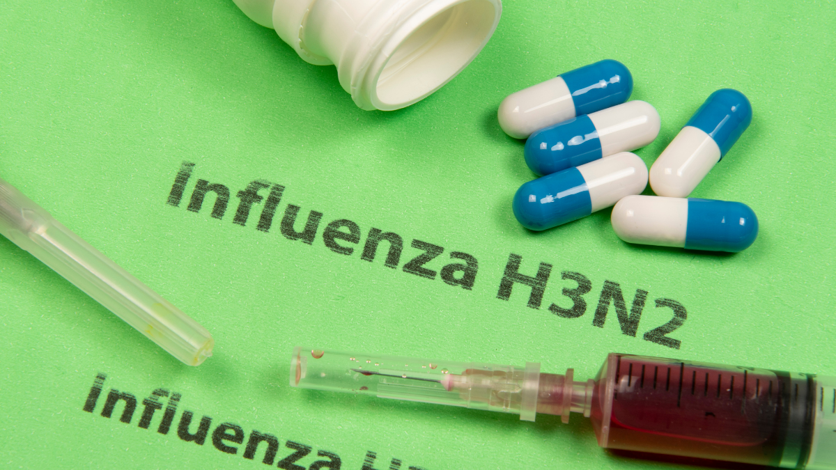 H3N2 Symptoms: Understanding the Flu Strain’s Impact on Health, The Canine Influenza Epidemic: Understanding and Preventing the Spread of H3N8 and H3N2