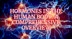 Hormones in the Human Body: A Comprehensive Overview