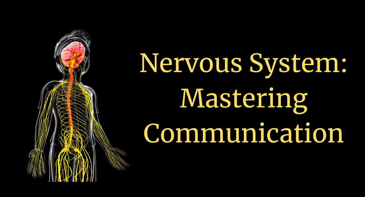 Nervous System: Mastering Communication